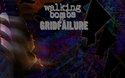 Walking Bombs & Gridfailure: Suicide By Citizenship (2019)