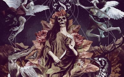 Sectile: Falls Apart (2020)