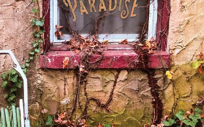 Al Gold: Al Gold’s Paradise (2020)