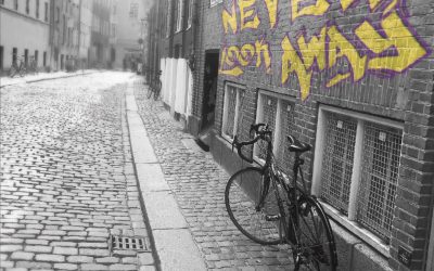 Allison vonBuelow: Never Look Away (2019)