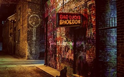 Investigator: Bad Luck’s Shoebox (2020) single