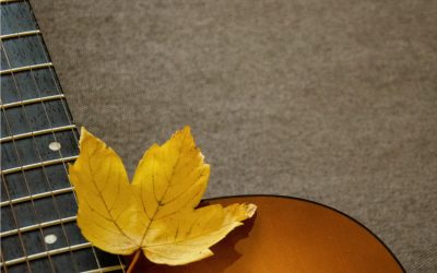 The Autumn Killers: Acoustic & Autumnised (2020)