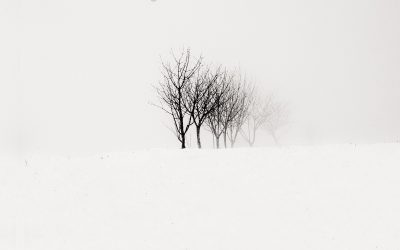Shores Of Null: Beyond The Shores [On Death And Dying] (2020)