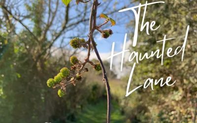 Maryen Cairns: The Haunted Lane (2021) [single]
