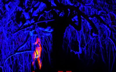 Investigator: Lake of Eyes (2021) single