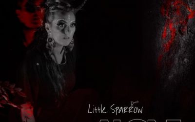 Little Sparrow: Alone (2021) single