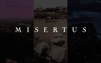 Misertus: Daydream / Coil / Outland (2020)