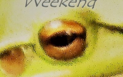 Bevan Mical: Weekend (2021) single