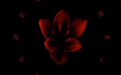 Malachim: Vitasphere (2021)
