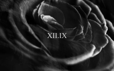 Seas Of Conflict: XII.IX (2021) single