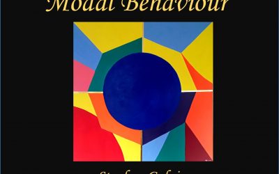 Stephen Galvin: Modal Behaviour (2021)