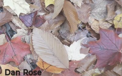 Dan Rose & Claudine Francois: New Leaves (2020)