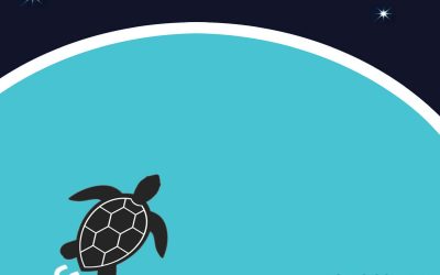 The South Pasifika Sound Project: Across The Pacific (2020)
