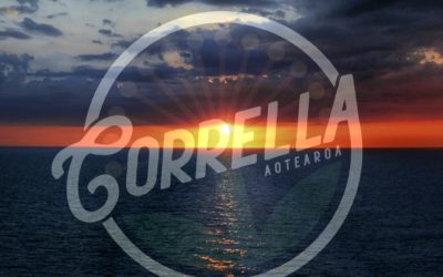 Corrella: Seafarer (2022) single