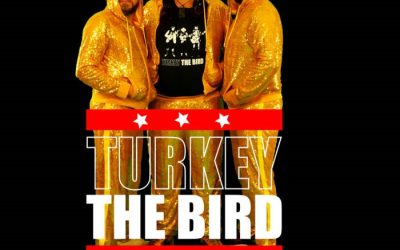 Turkey The Bird: When Turkeys Fly (2022)