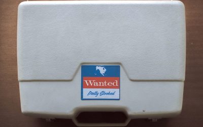 Pretty Stooked: Wanted (2022) single