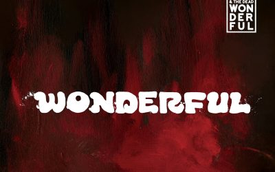 The Fierce And The Dead: Wonderful (2022) single