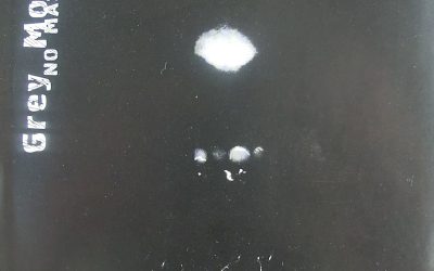 Grey Mouse: No Masks (2005)