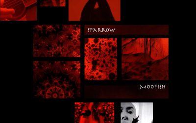 Moofish: Sparrow (2022) single