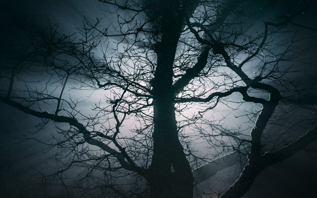 Scapegoat: Reality And The Hanging Tree (2022)