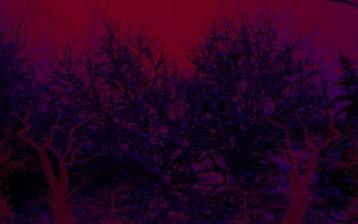 Gridfailure & Megalophobe: Harbinger Winds (2022)