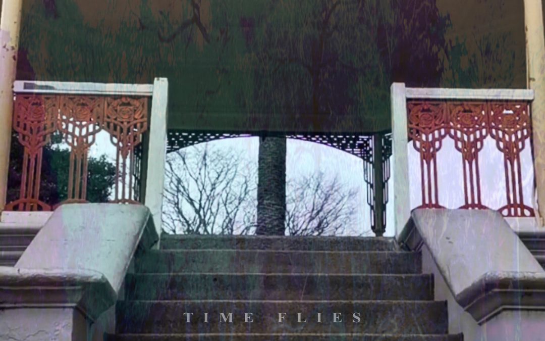 Trepidations: Time Flies (2022)