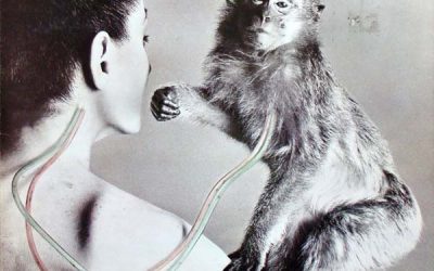 UFO: No Heavy Petting [2023 Remaster] (1976)