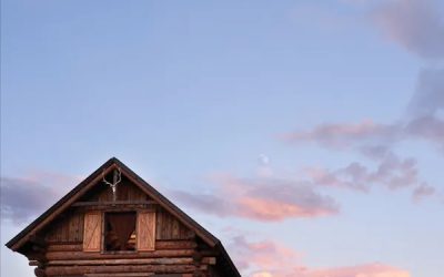 Neil Young / Crazy Horse: Barn (2021)