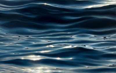 Anderson Rocio: You, The Sea and I (2023) single