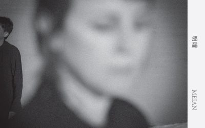 Erzatz: Meian (2017)
