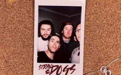 Stray Dogs: Stray Dogs (2023) single
