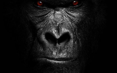 Extreme: Six (2023)