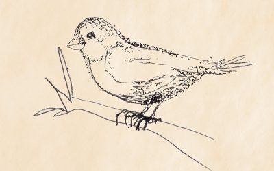Carla Fuchs: Songbird (2023)