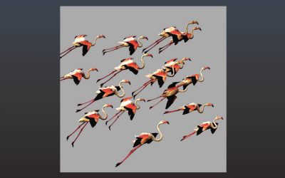 Carsten Sindvald: A Flamboyance of Flamingos (2023)