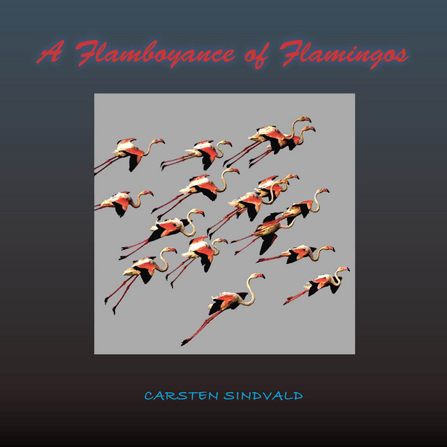 Carsten Sindvald: A Flamboyance of Flamingos (2023)