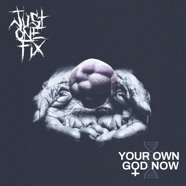 Just One Fix: Your Own God Now (2024) single