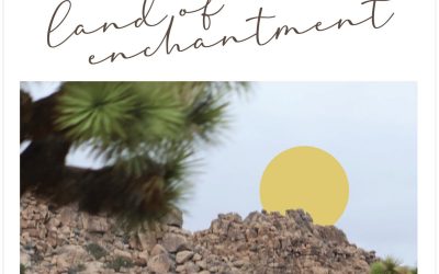 Todd Mosby: Land of Enchantment (2023)