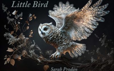 Sarah Prodan: Little Bird (2023)