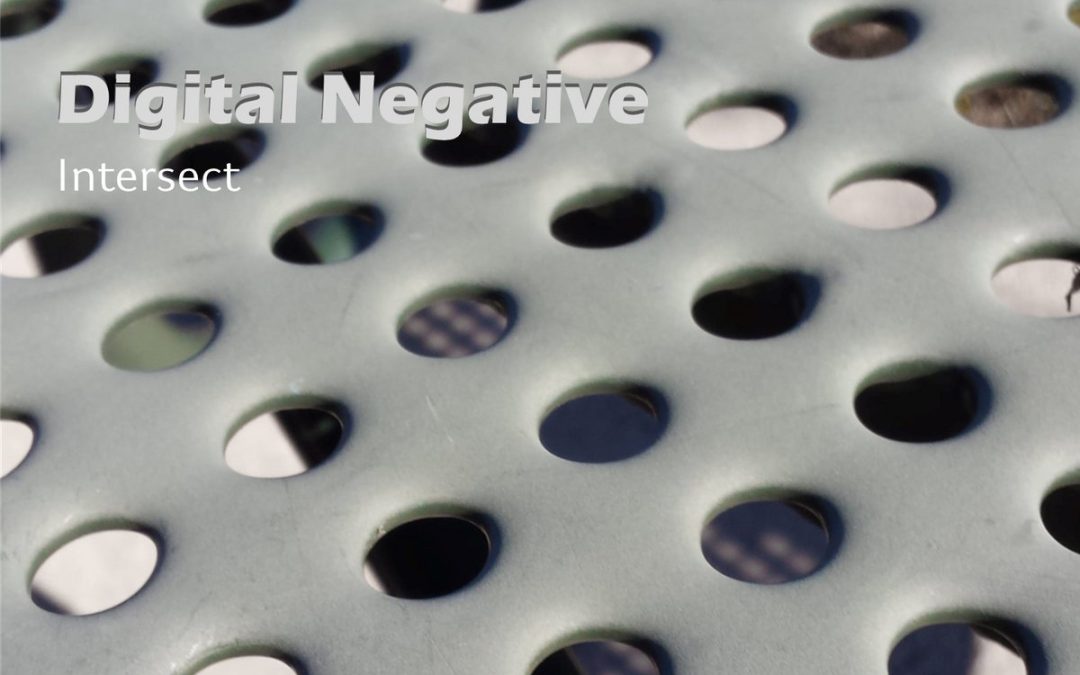 Digital Negative: Intersect (2025)
