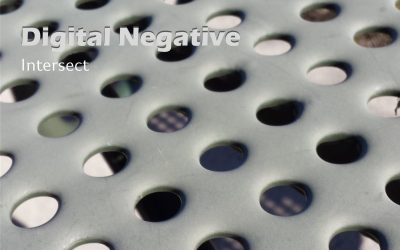 Digital Negative: Intersect (2025)