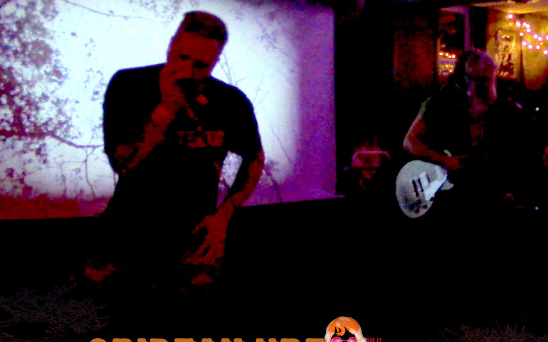 Gridfailure: Live At Darsombra Presents Transmission – A Celebration For Ann Everton (2026)