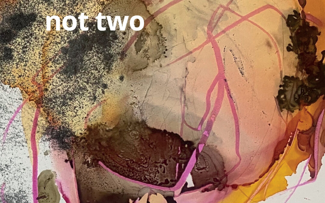 Not One Not Two: Openings and Samādhis (2025)
