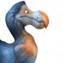 Profile picture of dodo4eva