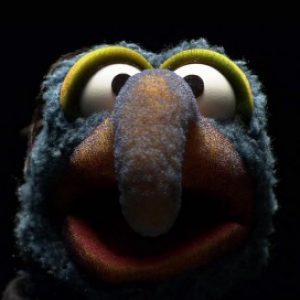 Profile picture of Gonzo